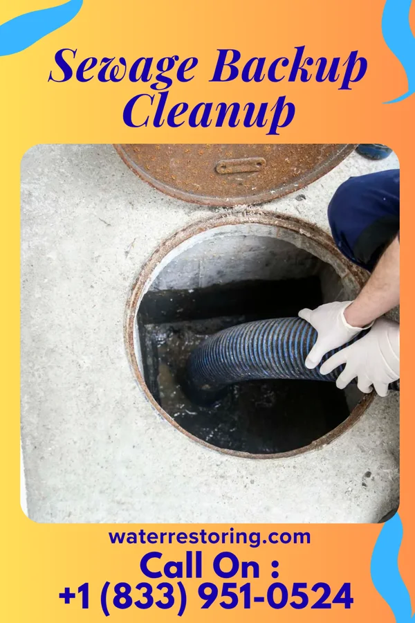 Sewage Backup Cleanup in Anselmo, NE